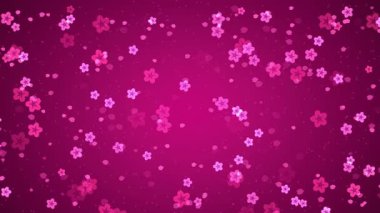 Animasyon pembe sakura çiçekleriyle soyut çiçek desenli arka plan ve kıpkırmızı arkaplan üzerine düşen kiraz çiçekleri. Japon ya da ilkbahar konsepti için video animasyonu