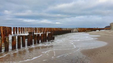 Fırtınalı Baltık Denizi 'nin kumlu kumlu sahili. Sakin dalgalar eski ahşap dalgalar üzerinde yuvarlanıyor. Kasvetli kış gününde dramatik bulutlu gökyüzü altında sahil koruması olarak. Hiçbir insan ıssız deniz manzarası olmadan.
