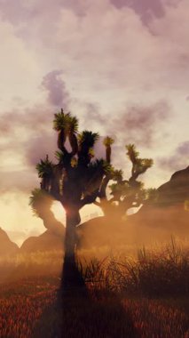 Karanlık Joshua ağacı ya da Yucca palmiyesi siluetleri olan ıssız kanyon çöl manzarasının günbatımı ışınlı dramatik bulutlu gökyüzüne karşı dikey videosu. İnsansız doğal arka plan 3 boyutlu animasyon.