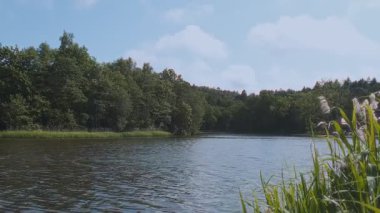 Göl yüzeyindeki küçük dalgalarla şehir göletindeki toprak kütlelerinden ön planda rüzgarda sallanan sazlıklar ve rüzgarlı bir yaz gününde karşı kıyıda yoğun ormanlar. Yaz zamanı manzara ortamı.