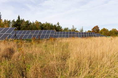 sonbahar doğa güneş güç istasyonu