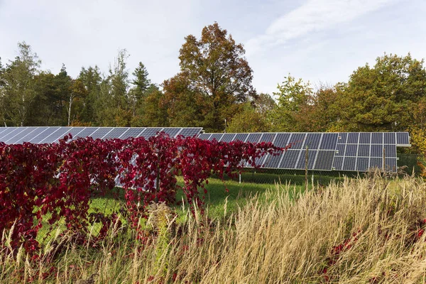 stock image Solar Power Station in the autumn Nature