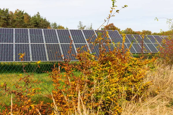 Солнечная Электростанция Осенью Природа — стоковое фото