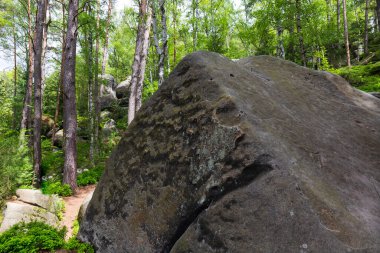 Çek cennetinde güzel kumtaşı kayaları, açık yeşil doğa, Mala Skala, Little Rock, Çek Cumhuriyeti