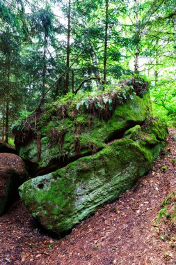 Çek cennetinde güzel kumtaşı kayaları, açık yeşil doğa, Mala Skala, Little Rock, Çek Cumhuriyeti