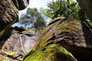 Çek cennetinde güzel kumtaşı kayaları, açık yeşil doğa, Mala Skala, Little Rock, Çek Cumhuriyeti