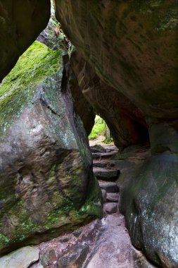 Çek cennetinde güzel kumtaşı kayaları, açık yeşil doğa, Mala Skala, Little Rock, Çek Cumhuriyeti