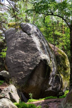 Çek cennetinde güzel kumtaşı kayaları, açık yeşil doğa, Mala Skala, Little Rock, Çek Cumhuriyeti