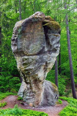 Çek cennetinde güzel kumtaşı kayaları, açık yeşil doğa, Mala Skala, Little Rock, Çek Cumhuriyeti