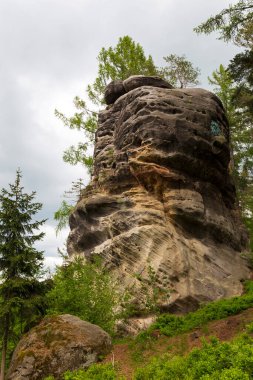 Çek cennetinde güzel kumtaşı kayaları, açık yeşil doğa, Mala Skala, Little Rock, Çek Cumhuriyeti