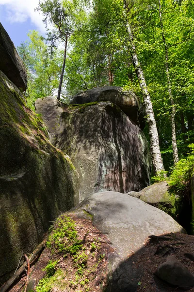Hermosa Piedra Arenisca Rocas Paraíso Checo Verde Claro Naturaleza Mala —  Fotos de Stock