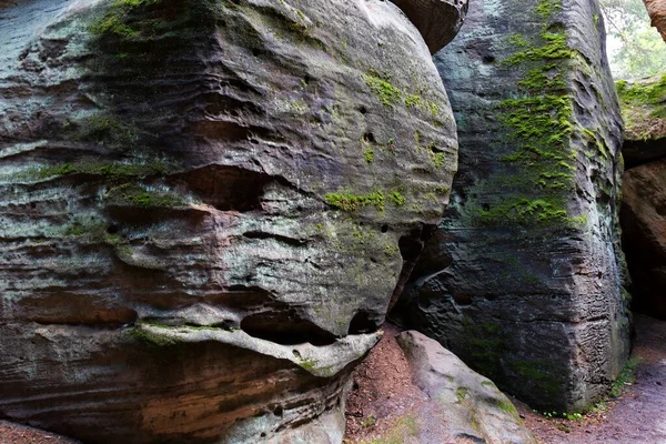 stock image Beautiful sandstone Rocks in Czech Paradise, clear green Nature, Mala Skala, Little Rock, Czech Republic