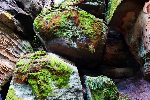 stock image Beautiful sandstone Rocks in Czech Paradise, clear green Nature, Mala Skala, Little Rock, Czech Republic