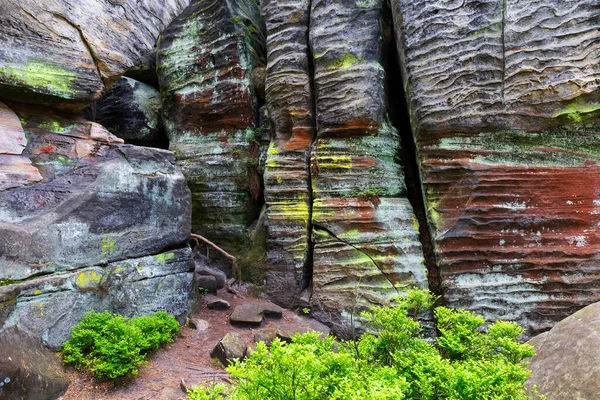 チェコの美しい砂岩岩パラダイス 澄んだ緑の自然 スカラ 小さな岩 チェコ共和国 — ストック写真