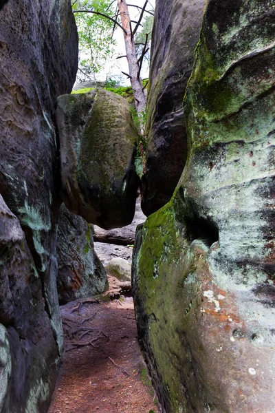 Όμορφες Πέτρες Ψαμμίτη Στην Τσεχική Paradise Σαφές Πράσινο Φύση Mala — Φωτογραφία Αρχείου