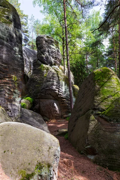 捷克乐园中美丽的砂岩岩石 清澈的绿色自然 马拉斯卡拉 小岩石 捷克共和国 — 图库照片