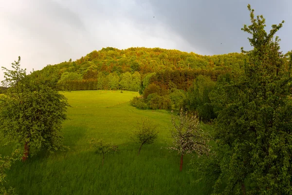 Schöne Sandsteinfelsen Böhmischen Paradies Klare Grüne Natur Mala Skala Little — Stockfoto