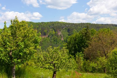 Çek cennetinde güzel kumtaşı kayaları, açık yeşil doğa, Mala Skala, Little Rock, Çek Cumhuriyeti