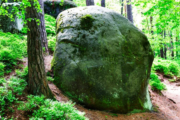 Beautiful Sandstone Rocks Czech Paradise Clear Green Nature Mala Skala — Stock Photo, Image