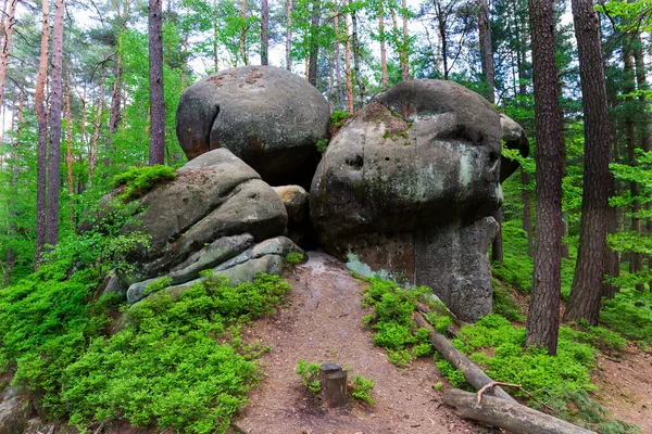 Pedras Arenito Bonitas Czech Paradise Clear Green Natureza Mala Skala — Fotografia de Stock