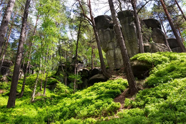 Beaux Rochers Grès Dans Paradis Tchèque Vert Clair Nature Mala — Photo