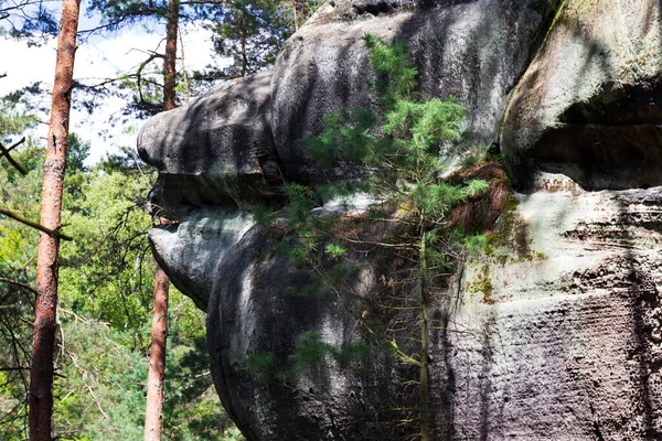 Hermosa Piedra Arenisca Rocas Paraíso Checo Verde Claro Naturaleza Mala — Foto de Stock