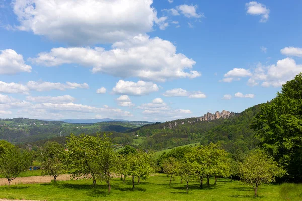 Vackra Sandsten Stenar Tjeckiska Paradiset Klar Grön Natur Mala Skala — Stockfoto
