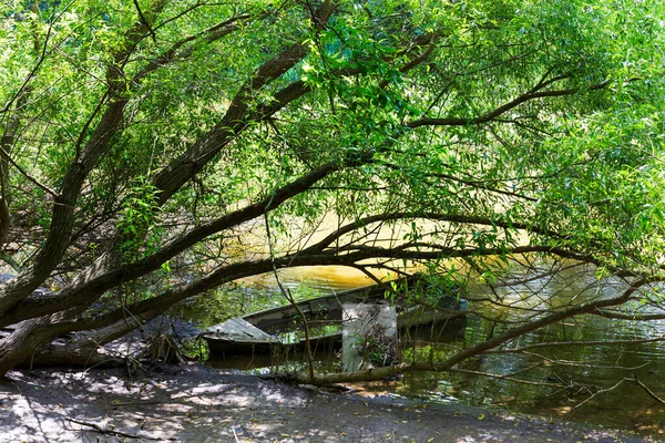 Romantischer Einsamer Pfad Mit Alten Großen Bäumen Über Den Fluss — Stockfoto