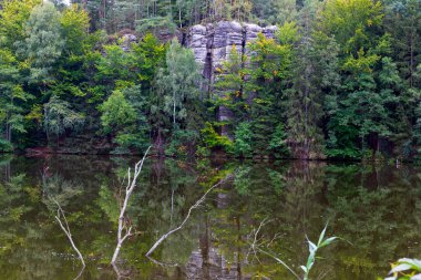 Bohem Cenneti (Cesky Raj), Kum Taşı Kayası, Çek Cumhuriyeti 'ndeki Berrak Sonbahar Ormanlık Arazisi