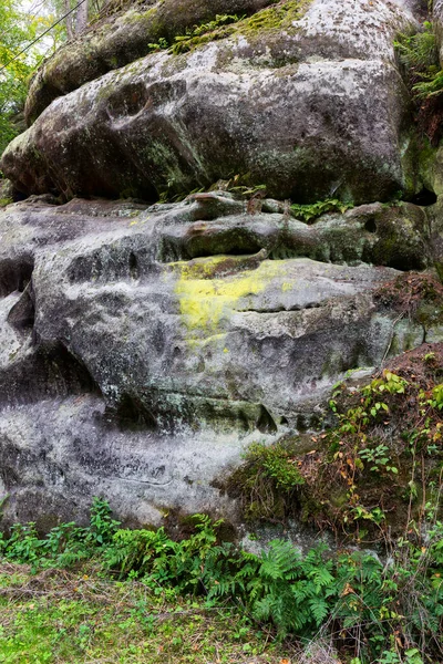 捷克共和国沙石岩波希米亚乐园 Cesky Raj 清澈的秋林景观 — 图库照片