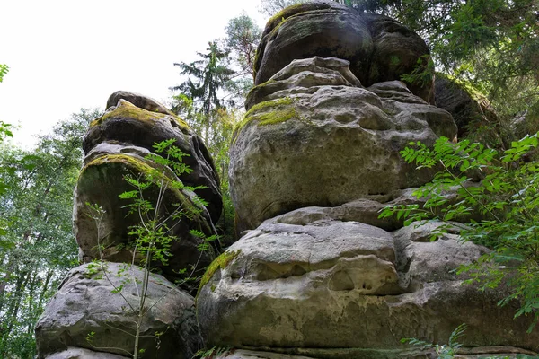 Heldere Herfst Beboste Landschap Boheemse Paradijs Cesky Raj Sandstone Rock — Stockfoto