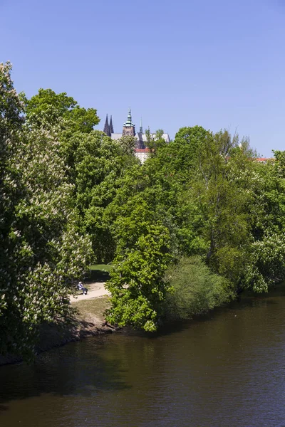 Spring Colorful Prague Lesser Town Gothic Castle River Vltava Sunny — Stock Photo, Image