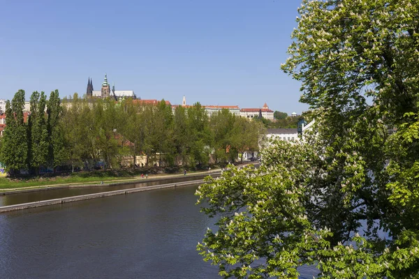 Frühling Bunt Prager Kleinseite Mit Gotischer Burg Über Der Moldau — Stockfoto