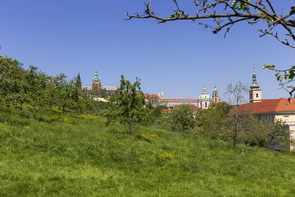 春のプラハ城ゴシック様式の城とチェコ共和国ペトリン丘からの開花メドウズとカラフルな自然 — ストック写真