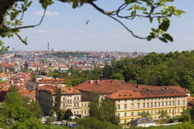 Bahar Prag Şehri 'nde Aziz Niklas Katedrali ve renkli doğa ile Çek Cumhuriyeti' nin Petrin Tepesi 'nden çiçek açan çayırları
