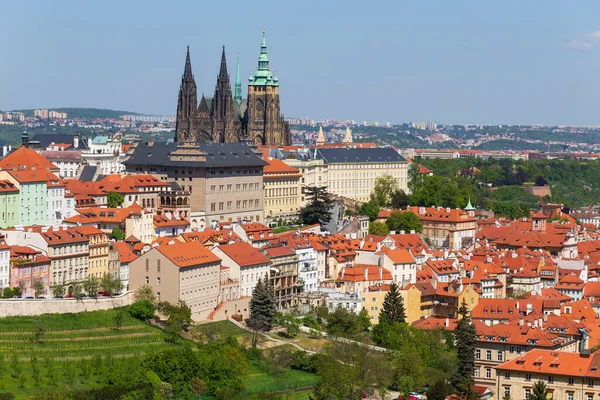 布拉格之春 有哥特式城堡 有五彩缤纷的大自然 有来自捷克共和国佩特林山的盛开的草原 — 图库照片