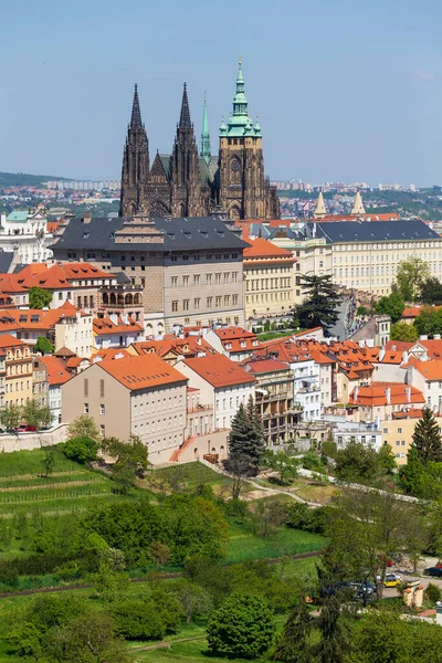 布拉格之春 有哥特式城堡 有五彩缤纷的大自然 有来自捷克共和国佩特林山的盛开的草原 — 图库照片