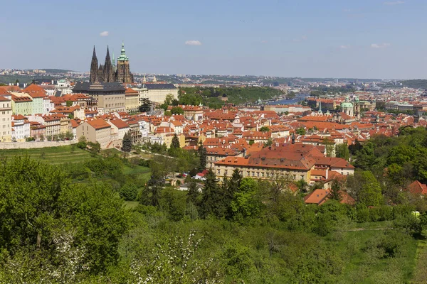 Frühling Prag Stadt Mit Gotischer Burg Und Die Bunte Natur — Stockfoto