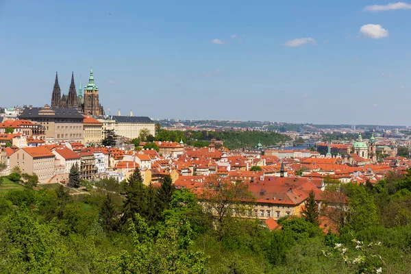 Frühling Prag Stadt Mit Gotischer Burg Und Die Bunte Natur — Stockfoto