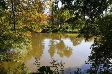 Orta Çek Cumhuriyeti 'nde Sazava Nehri Hakkında Büyük Ağaçlı Romantik Güneş Doğası