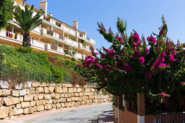 Mijas, Endülüs, İspanya 'da güzel ve renkli İspanyol bitki ve mimarisi