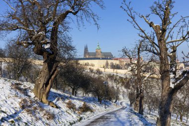 Güneşli bir günde Çek Cumhuriyeti 'nin Petrin Tepesi' nden Gotik Şatosu olan Karlı Prag Şehri