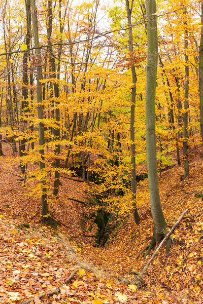 Colorful autumn Landscape in the Central Bohemian Region of the Czech Republic, Kokorin