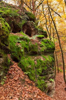 Çek Cumhuriyeti 'nin orta Bohemya Bölgesi Kokorin' de renkli sonbahar manzarası