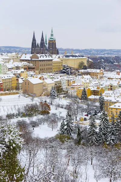 Çek Cumhuriyeti 'nin Petrin Tepesi' nden Gotik Şatosu ile Karlı Prag Şehri