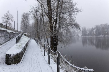 Vltava Nehri çevresindeki ağaçlarla akşam karlı doğası, Holesovice, Çek Cumhuriyeti 'nin en havalı Prag Bölgesi,
