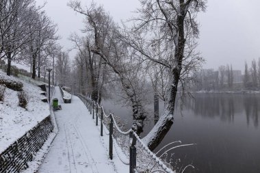 Vltava Nehri çevresindeki ağaçlarla akşam karlı doğası, Holesovice, Çek Cumhuriyeti 'nin en havalı Prag Bölgesi,