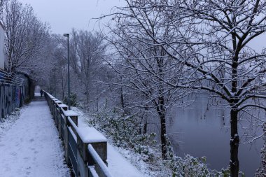 Vltava Nehri çevresindeki ağaçlarla akşam karlı doğası, Holesovice, Çek Cumhuriyeti 'nin en havalı Prag Bölgesi,