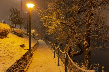 Çek Cumhuriyeti 'nin en havalı Prag Bölgesi Vltava Nehri' nin etrafındaki Ağaçlarla Karlı Doğa Gecesi