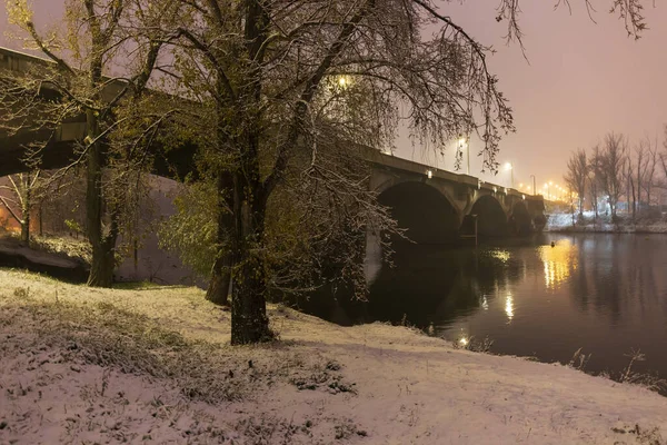 Çek Cumhuriyeti 'nin en havalı Prag Bölgesi Vltava Nehri' nin etrafındaki Ağaçlarla Karlı Doğa Gecesi